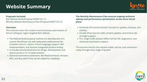 Vertui: Marketing proposal: channel plan