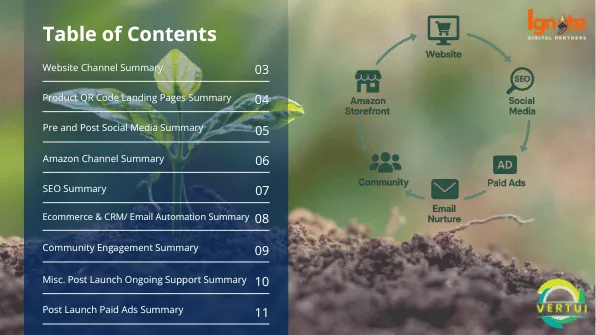 Vertui: Marketing proposal: strategy overview